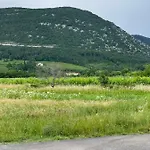 Hoara Gorizia
