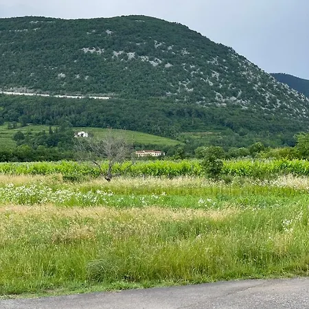 Hoara غوريزيا